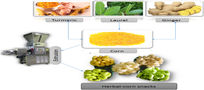 Production and evaluation of novel functional extruded corn snacks  fortified with ginger, bay leaves and turmeric powder, Food Production,  Processing and Nutrition