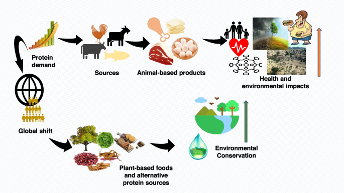 What is cultivated meat and how is it made? - KHNI