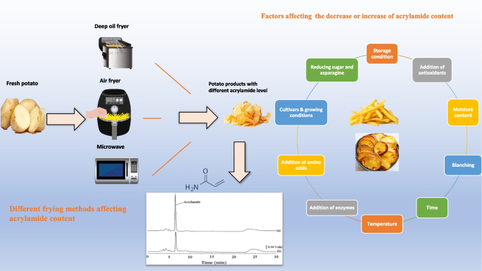 Air Frying Compared With Other Cooking Methods