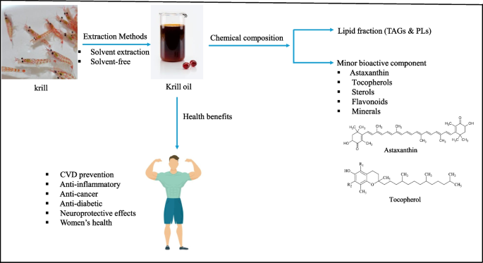 Why is Antactic krill (Euphasia superba) oil on the spotlight? A review |  Food Production, Processing and Nutrition