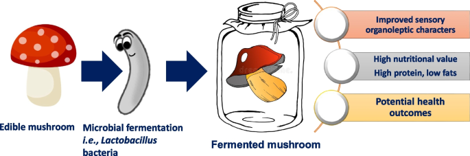 The role of microorganisms and microbial enzymes in commercial fermented mushroom production: a comprehensive review of their action mechanisms, quality attributes and health benefits | Food Production, Processing and Nutrition