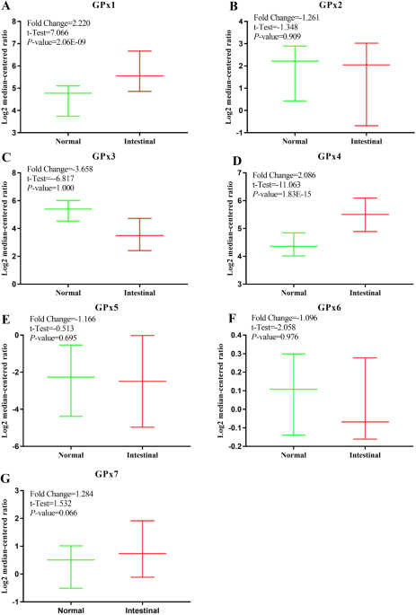 Dual insights into gastric cancer: expression analysis and prognostic relevance of glutathione peroxidases | Egyptian Journal of Medical Human Genetics | Springer Nature Link Dual insights into gastric cancer: expression analysis and prognostic relevance of glutathione peroxidases | Egyptian Journal of Medical Human Genetics | Springer Nature Link