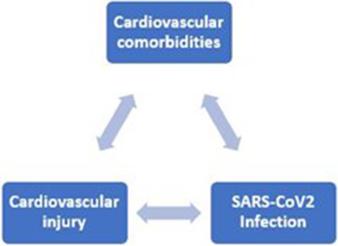 Cardiovascular system and coronavirus disease-2019 (COVID-19): mutual  injuries and unexpected outcomes, The Egyptian Heart Journal