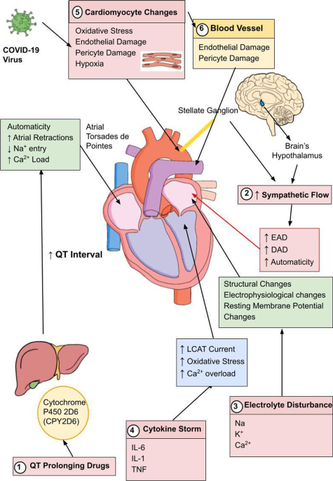 Bethesda Hospital Site for Nationwide Heart Failure Study