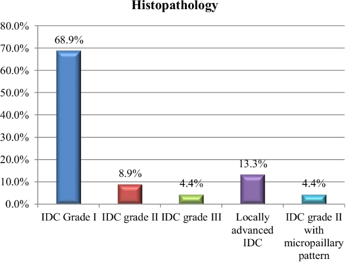 Assessment of low-cost surgical metallic clip placement for tumor  localization in BIRDAS VI breast cancer patients undergoing neoadjuvant  chemotherapy, Egyptian Journal of Radiology and Nuclear Medicine