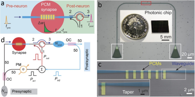 Frontiers  Synaptic Plasticity in Memristive Artificial Synapses