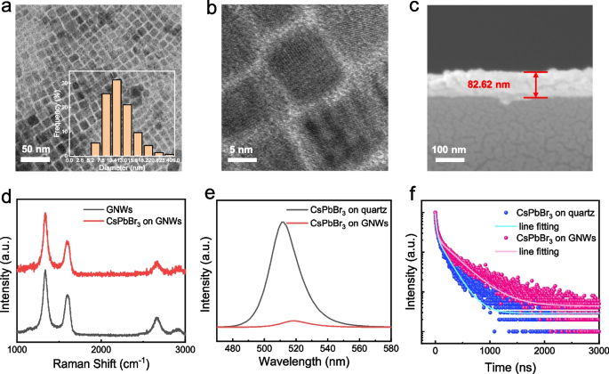 Graphene Dynamic Synapse with Modulatable Plasticity