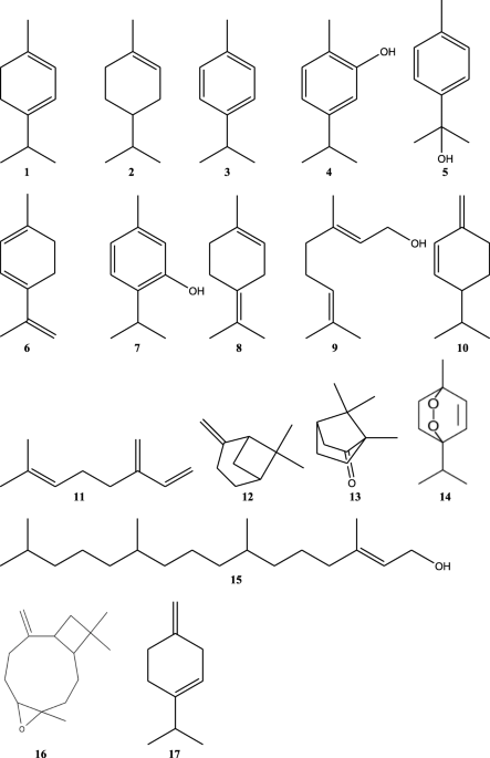 https://media.springernature.com/m685/springer-static/image/art%3A10.1186%2Fs43094-021-00306-3/MediaObjects/43094_2021_306_Fig3_HTML.png