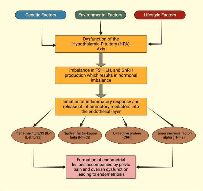 A comprehensive review comparing conventional versus traditional remedies  in the treatment of endometriosis with futuristic insights | Future Journal  of Pharmaceutical Sciences | Springer Nature Link