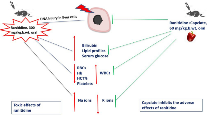 tirzepatide and adhd medication Does tirzepatide (glucagon-like peptide-1 (GLP-1) receptor agonist) help  with Attention Deficit Hyperactivity Disorder (ADHD)?