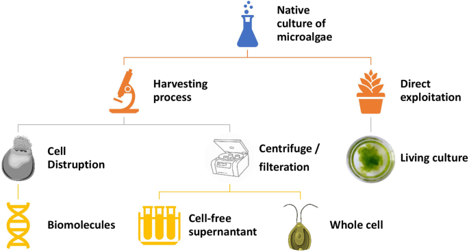 Nanomaterials, Free Full-Text