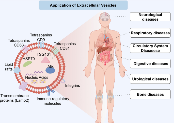 what if nebulized glutathione arrives unfrozen Frontiers Serum metabolomics analysis reveals potential