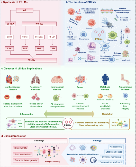 Pro-resolving lipid mediators in diseases: exploring the molecular basis  and clinical implication | Molecular Biomedicine | Springer Nature Link