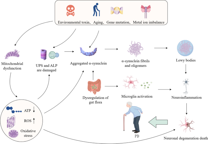 glutathione therapy for parkinson Central nervous system uptake of intranasal glutathione in Parkinson's  disease
