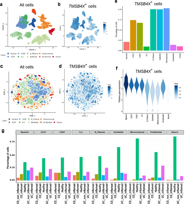 Recombinant human Thymosin β4 ameliorates experimental colitis and intestinal fibrosis through suppression of mineralocorticoid receptor signaling
