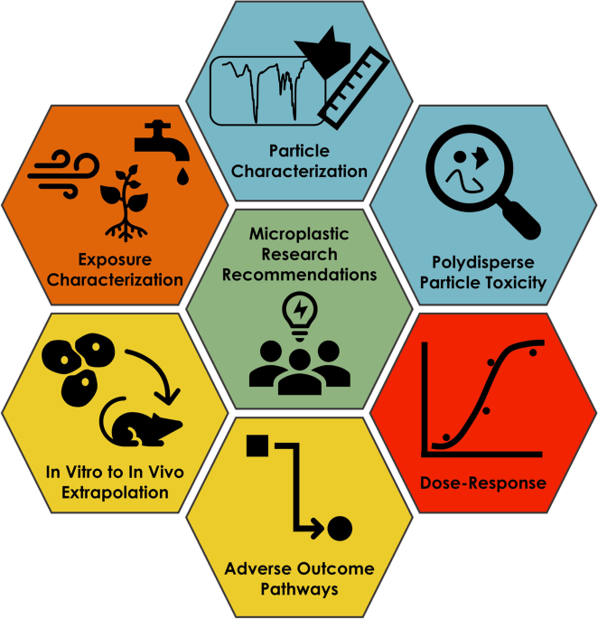 In Vitro Toxicological Investigation and Risk Assessment of E