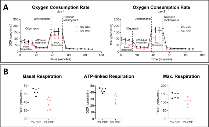 cigarette smoke reduces mitochondrial membrane potential lung epithelial cells The effects of cigarette smoke extract on mitochondrial function,  mitochondrial gene expression and mitochondrial DNA methylation in airway epithelial  cells | Epigenetics Communications