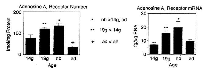 feature-image