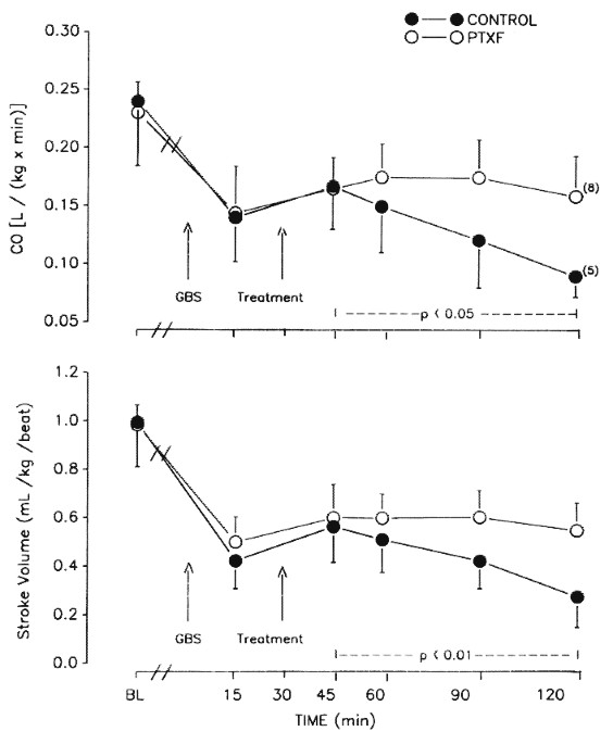Effects of Treatment with Pentoxifylline on the Cardiovascular Manifestations of Group B Streptococcal Sepsis in the Piglet