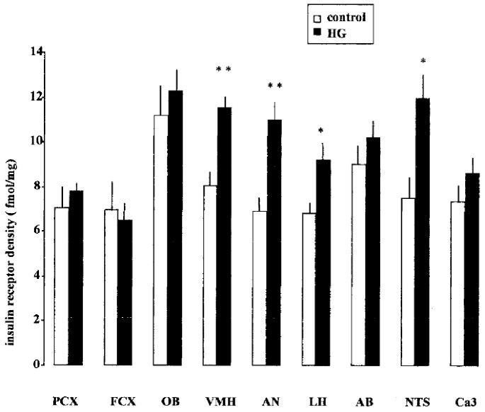 Intrauterine hyperglycemia increases insulin binding sites but not glucose transporter expression in discrete brain areas in term rat fetuses