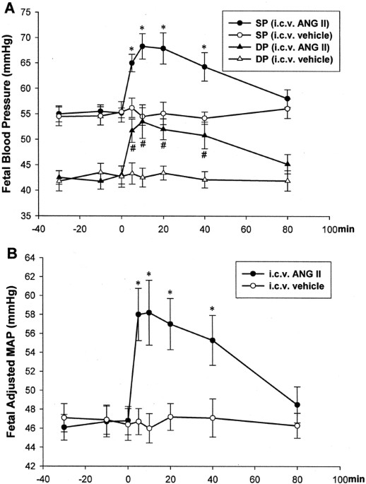 Vasopressin mechanism–mediated pressor responses caused by central angiotensin ii in the ovine fetus