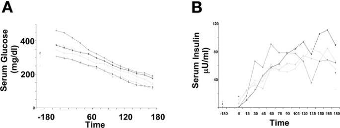 Effect Of Insulin With Concurrent Amino Acid Infusion On Protein