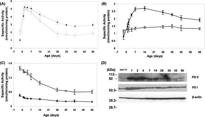 Prolidase Isoenzymes in the Rat: Their Organ Distribution, Developmental Change and Specific Inhibitors