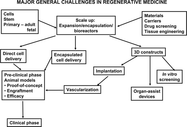 Dedifferentiation: inspiration for devising engineering strategies for regenerative  medicine - npj Regenerative Medicine
