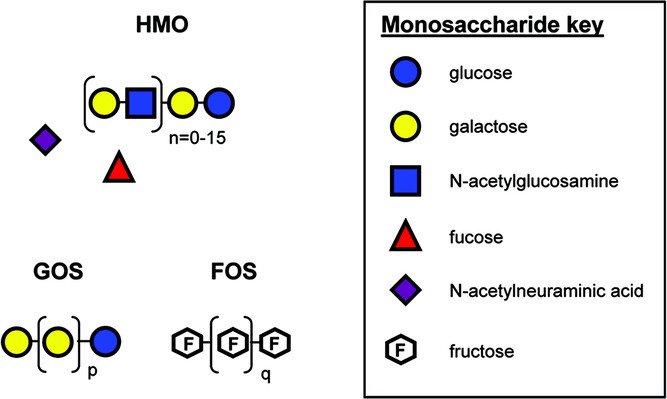 formula without lactose
