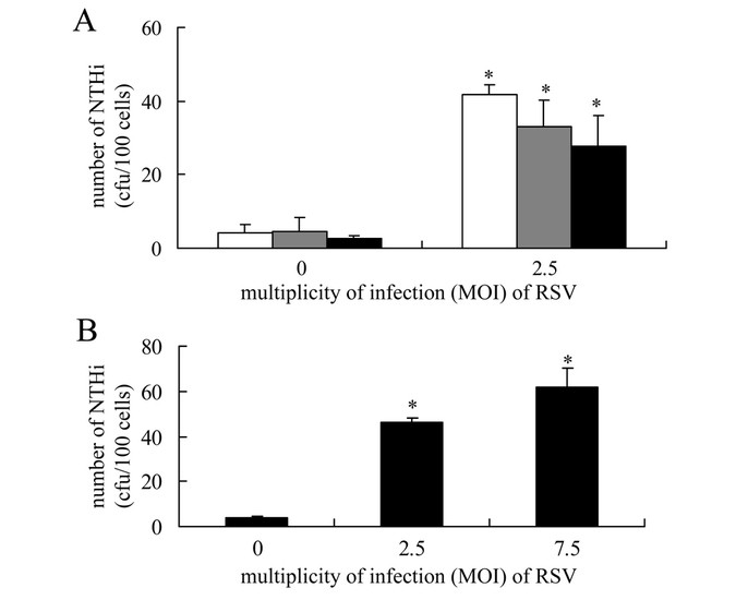 The effects of disodium cromoglycate on enhanced adherence of haemophilus influenzae to a549 cells infected with respiratory syncytial virus