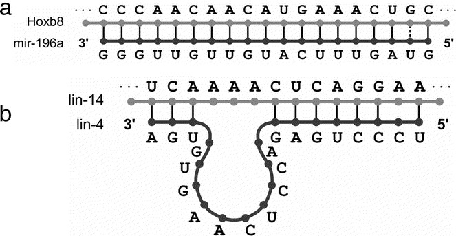epigenetics and micrornas pediatric
