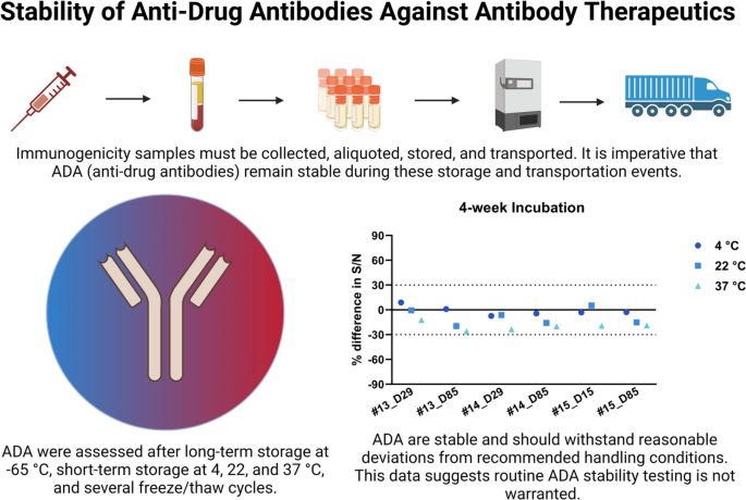 Stability of Anti-Drug Antibodies Against Antibody Therapeutics | The AAPS Journal | Springer Nature Link Stability of Anti-Drug Antibodies Against Antibody Therapeutics | The AAPS Journal | Springer Nature Link