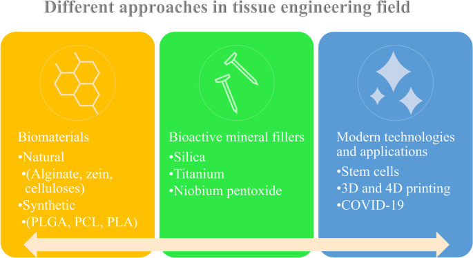 A comprehensive review on peptide-bearing biomaterials: From ex situ to in  situ self-assembly - ScienceDirect