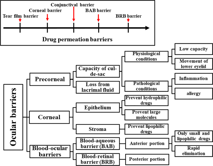 PDF) Combination drug delivery approaches in ophthalmology