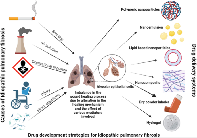 Pulmonary Fibrosis: Unveiling the Pathogenesis, Exploring Therapeutic  Targets, and Advancements in Drug Delivery Strategies | AAPS PharmSciTech