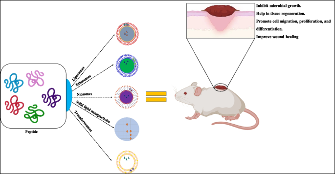ghk cu injection how long to see results how long to see results from ghk cu injections Injectable Ghk Cu Before and After ghk cu injection how long to see results how long to see results from ghk cu injections Injectable Ghk Cu Before and After
