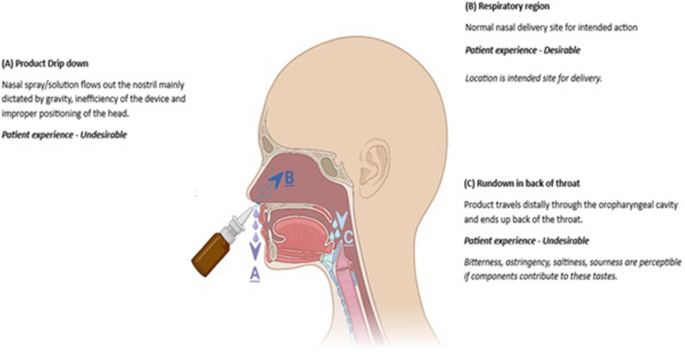 intranasal ipamorelin study Delivery: Formulation Factors and Insights Into User Experience | AAPS PharmSciTech Clinical and preclinical perspectives Nutrients Size:150 Mls