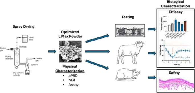 dangers of nebulized glutathione Safety and Efficacy of Inhaled Natural Product Powders That Enhance Mucociliary Clearance | AAPS PharmSciTech