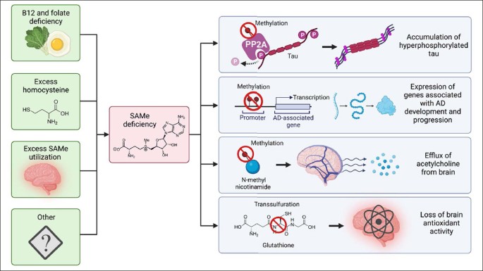 is glutathione good for the liver Changes in Glutathione Content in Liver Diseases: An Update is glutathione good for the liver Changes in Glutathione Content in Liver Diseases: An Update