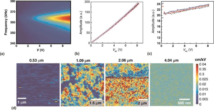Spectroscopic imaging in piezoresponse force microscopy: New