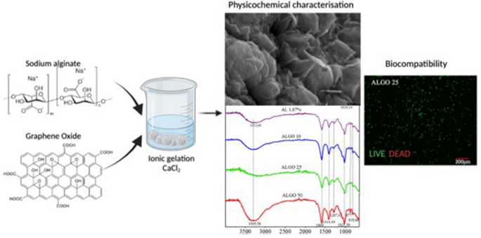 Stimulation–Inhibition of Protein Release from Alginate Hydrogels Using  Electrochemically Generated Local pH Changes