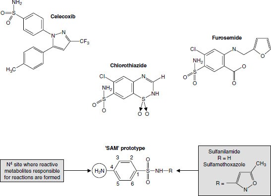 glutathione sulfa allergy How does (Glutathione) supplementation impact the management of (Sulfonamide) allergies? Safety of Celecoxib in Individuals