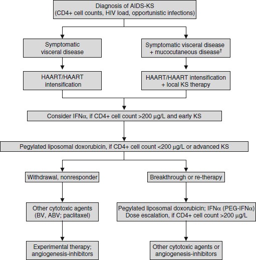 HIV protease inhibitors are potent anti-angiogenic molecules and promote  regression of Kaposi sarcoma