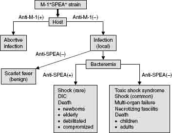 Toxic Shock Syndrome (TSS): Symptoms, Causes, and History