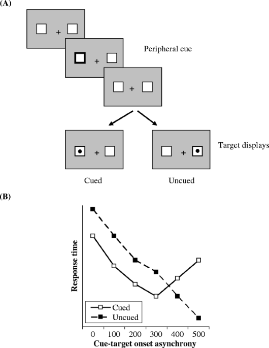 Experimental paradigm of Posner's task.