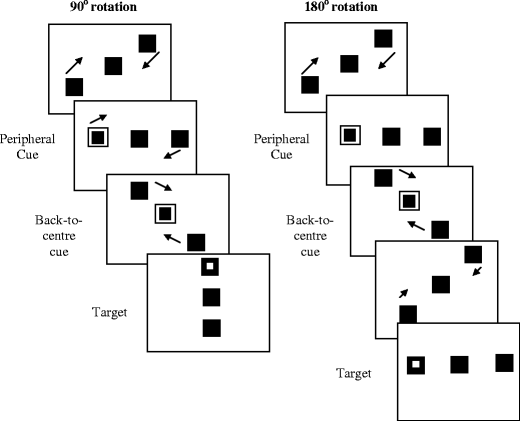 Experimental paradigm of Posner's task.