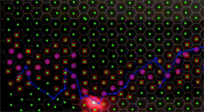 Few of my slither.io high scores : r/Slitherio