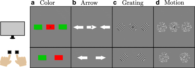 Examples of test stimuli with flanking features.