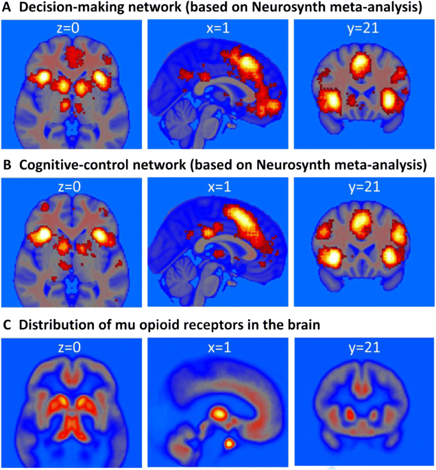dsip opiod receptors The role of the opioid system in decision making and cognitive control: A  review | Cognitive, Affective, & Behavioral Neuroscience