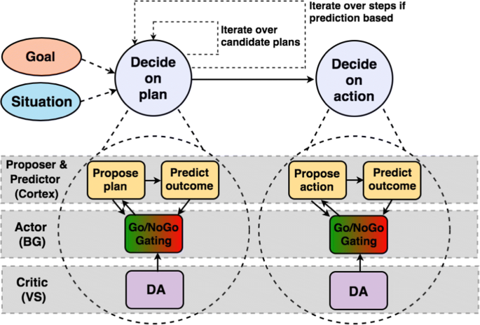 Frontiers  Decision Making as a Learned Skill in Mice and Humans